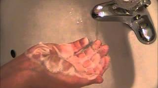 Aleppo Soap Lather Test  Hot Process HP  Laurel Berry Oil [upl. by Oiled]