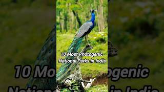 10 Most Photogenic National Parks in India nationalpark naturephotography photography parks [upl. by Asirap907]