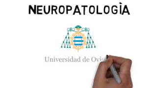 NEUROPATOLOGIA [upl. by Eittel]