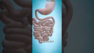 Gastric Bypass Surgery 😷 explained [upl. by Cantu]