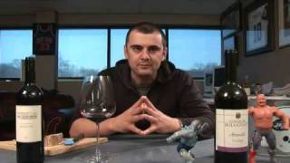 Teroldego Rotaliano Wine With Some Chesse  Episode 636 [upl. by Magdalena]