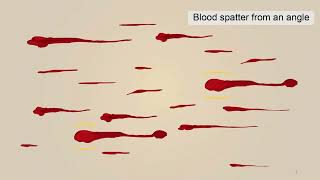 Forensic Science  323 Blood Spatter Analysis Lord Lucan Case [upl. by Aihsatsan]