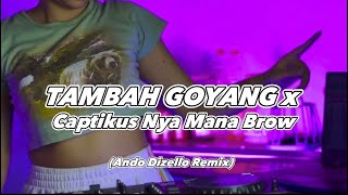 DJ TAMBAH GOYANG x CAPTIKUS NYA MANA BRO‼️Ando DizelloDJ VIRAL [upl. by Hilar]