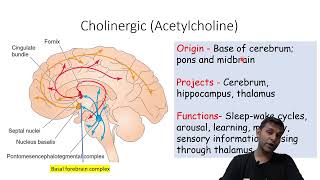 Neurophysiology Reticular Activating System By Vijaykumar Gupta [upl. by Wivinia]