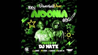 100 Aidonia Mix  Dancehall Dons DJNateUK [upl. by Crellen]