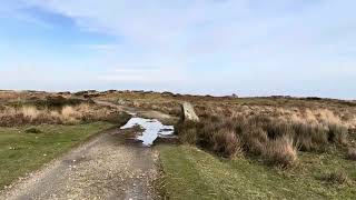 Lundy Island Ponies [upl. by Anitnegra688]