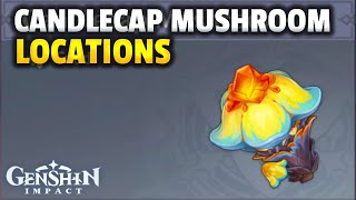 CANDLECAP MUSHROOM LOCATIONS  Genshin Impact [upl. by Ainoyek]