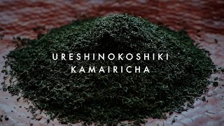 【Japanese Ingredients】030 URESHINOKOSHIKI KAMAIRICHA 嬉野古式釜炒り茶 佐賀県嬉野市 2024 [upl. by Aihsram]