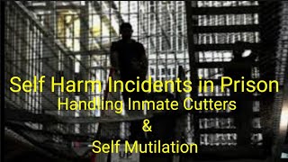 Handling SelfHarm Incidents in Jails amp Prisons [upl. by Olly]