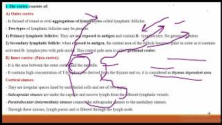 Histology of lymphatic organs [upl. by Tedd709]