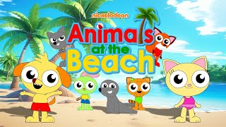 A King Gamer  Suzy’s Network Japan Original — Animals at the Beach [upl. by Doreg]