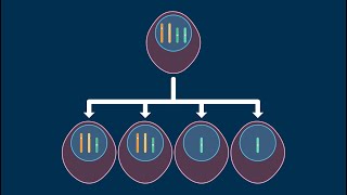 Nondisjunction in Meiosis [upl. by Eelyek119]