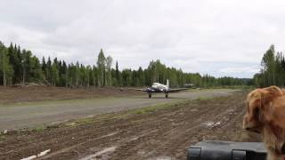 DC3 landing at pvt gold mine near Skwentna AK [upl. by Elatan752]