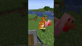 woah minecraft funny mcyt [upl. by Bradstreet213]