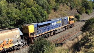 TT locomotives at Picton [upl. by Selinski]