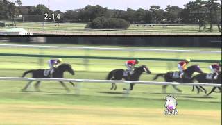 2011年9月24日 中山4R 障害未勝利 メジロクリントン [upl. by Airat258]