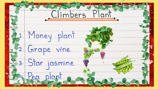 10 Climber Plants Name  Climbers Name  10 Climbers Plant Name in English  Climblers Example [upl. by Yalhsa]