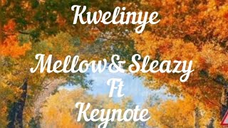 Kwelinye Lyrics  MellowampSleazy ft keynote LYRICS [upl. by Hewett]