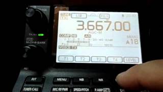 YAESU FT817 VS ICOM IC7100 QRM [upl. by Eadmund]