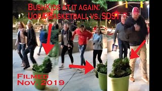 BushKids at UofA Basketball game vs SDST [upl. by Dayir]