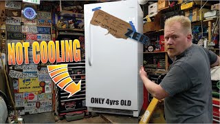 Freezer Not Cooling HOW THEY WORK and REPAIR [upl. by Rhu]