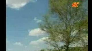 Um Paatham  Tamil Christian Song [upl. by Ailey]