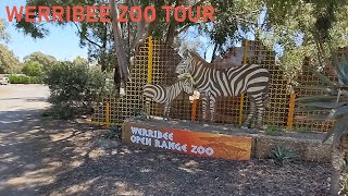 Werribee Open Range Zoo Tour  Victoria Australia [upl. by Attiuqahs]