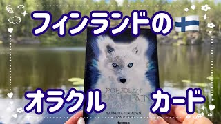 🎁開封🎁フィンランドの動物のオラクルカード🦊 Unboxing Pohjolan Voimaelainkortit [upl. by Ramedlav]