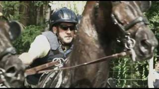 Carriage Driving from Beekbergen Holland [upl. by Hahsi]