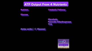 ATP Output From 4 Nutrients  Metabolism Made Easy [upl. by Karie217]