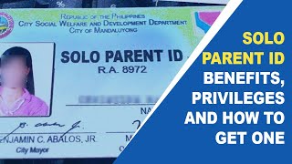 Solo Parent ID  Benefits Privileges and How to get one [upl. by Mischa]