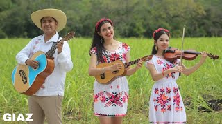 LA HUASTECA POTOSINA  Trio CANTORES DE TANTOCOB Official Video [upl. by Katuscha]