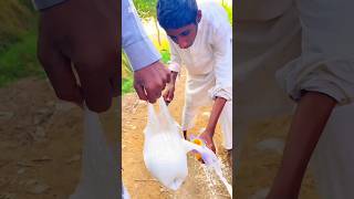 Garib bache ne dudh chori Kiyatrending india viralvideo ytshort [upl. by Enael]