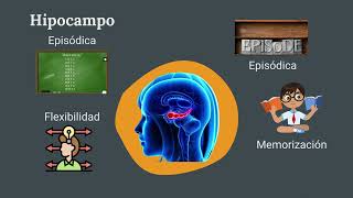 NEUROPSICOLOGÍA DE LA MEMORIA [upl. by Anetsirk136]