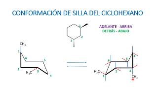 Conformaciones de silla representaciones [upl. by Basir]