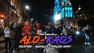 GodFella x Pvlmtree x Harlein Skrrt  Alokaos Video Oficial Prod Walter Vargas [upl. by Fugate298]