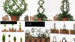 Fresh Topiary Trees amp Plants Animal Topiary Forms and More [upl. by Nofpets]