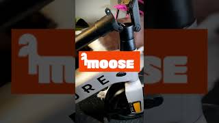 Pure Electric Advance FLEX E Scooter From Mooseco pureelectric advanceflex shorts moose [upl. by Savihc]