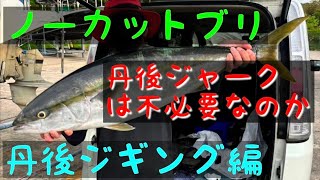 ノーカットブリ、丹後ジギング、夢の10kg オシアジガー OCEA GAME オフショアジギング [upl. by Vullo255]