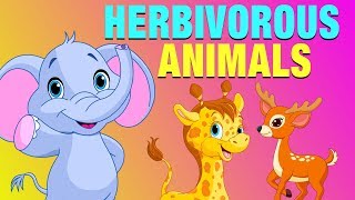 Herbivorous Animals Pictures With Names  Educational Video for Kids  KidsLearning [upl. by Hoskinson]