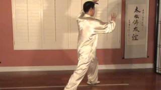 Yang Style Tai Chi Long Form 108 Taiji 2 [upl. by Burrows]