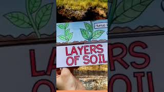 Layers of Soil  Creative Chart socialstudies socialscience geography layersofthesoil [upl. by Etessil]