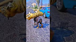 Tommy saved dying tiger life by taking him to the hospital  gta5 shorts shortsfeed love save [upl. by Livi]