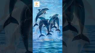 Discover the playful reasons why dolphins leap out of the water dolphins [upl. by Langan93]