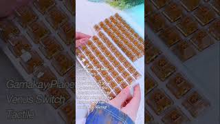 Gamakay planet series switch venustactile typingasmr asmrtriggers mechanicalkeyboard asmrsound [upl. by Katzir]