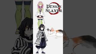 Demon slayer cat😽 [upl. by Eniamsaj572]