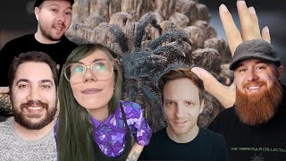 The CONFLICT and CARE of PINKTOE TARANTULAS ft special guests [upl. by Hales]