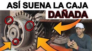 TODOS LOS SONIDOS del la TRANSMISIÓN  CAJA DAÑADA  RUIDO al pisar el CLUTCH  DESGASTE de PARTES [upl. by Symon]