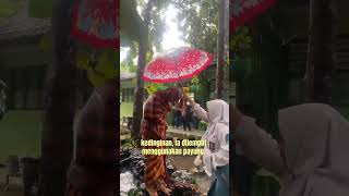 Jangan manja lain kali ya hujan siswa sekolah [upl. by Ghiselin]