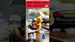 বাচ্চা হাঁসটি পছন্দের সবজি নিয়ে রান্না করবে 😍 Bangla Cartoon shorts duck [upl. by Llemart]